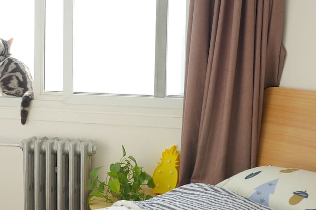 PG电子官网产品名称四